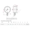 Манометр гидрозаполненный ТМ-320P.10 радиальный Дк63мм 0-0,6 МПа G1/4" глицерин Росма 00000025726