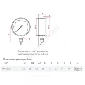 Манометр гидрозаполненный ТМ-320P.10 радиальный Дк63мм 0-0,6 МПа кл.1,5 G1/4" глицерин Росма 00000025726