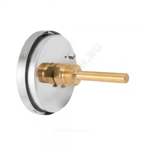 Термометр биметаллический осевой Дк80 -40+60С L=100мм G1/2" БТ-41.211 Росма 00000002459