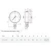 Манометр ТМ-521Р.00 радиальный Дк100мм 0-1,0 МПа G1/2" Росма 00000001081