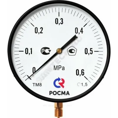 Манометр ТМ-810Р.00 радиальный Дк250мм 0-2,5 МПа М20х1,5 Росма 00000009033