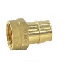 Муфта для PE-X латунь Дн 25х1" ВР РОС