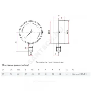 Вакуумметр ТВ-310Р.00 радиальный Дк63мм -0,1-0 МПа кл.2,5 G1/4" Росма 00000000315
